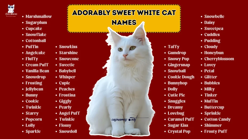 Adorably Sweet White Cat Names