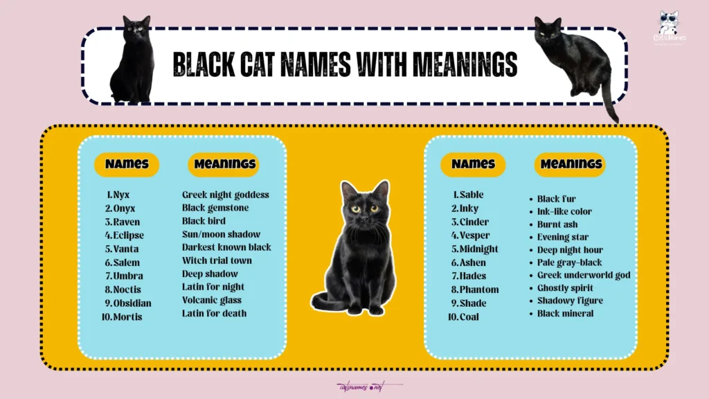 Black Cat Names With Meaning