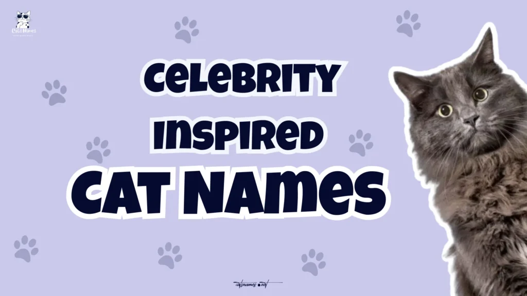 Celebrity Inspired Puns That Never Get Old