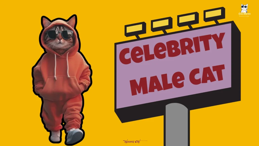 Celebrity Male Cat
