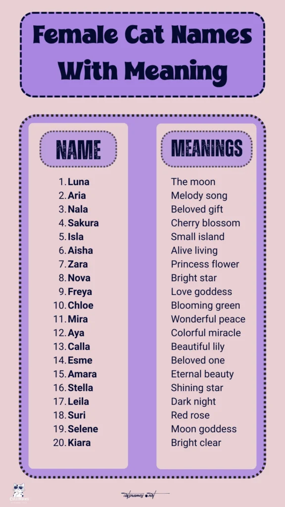 Female Cat Names With Meaning