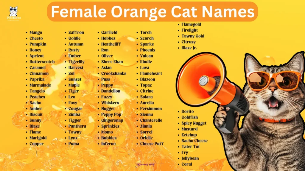 Female Orange Cat Names