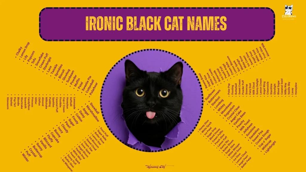 Ironic Black Cat Names