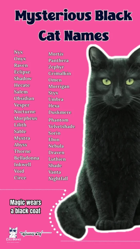 Mysterious Black Cat Names