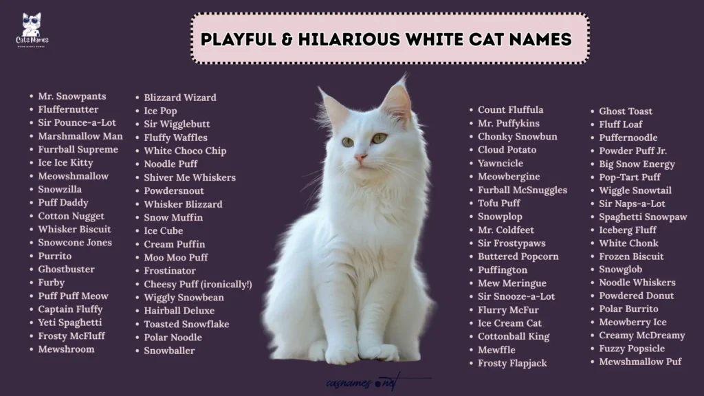 Playful & Hilarious White Cat Nam