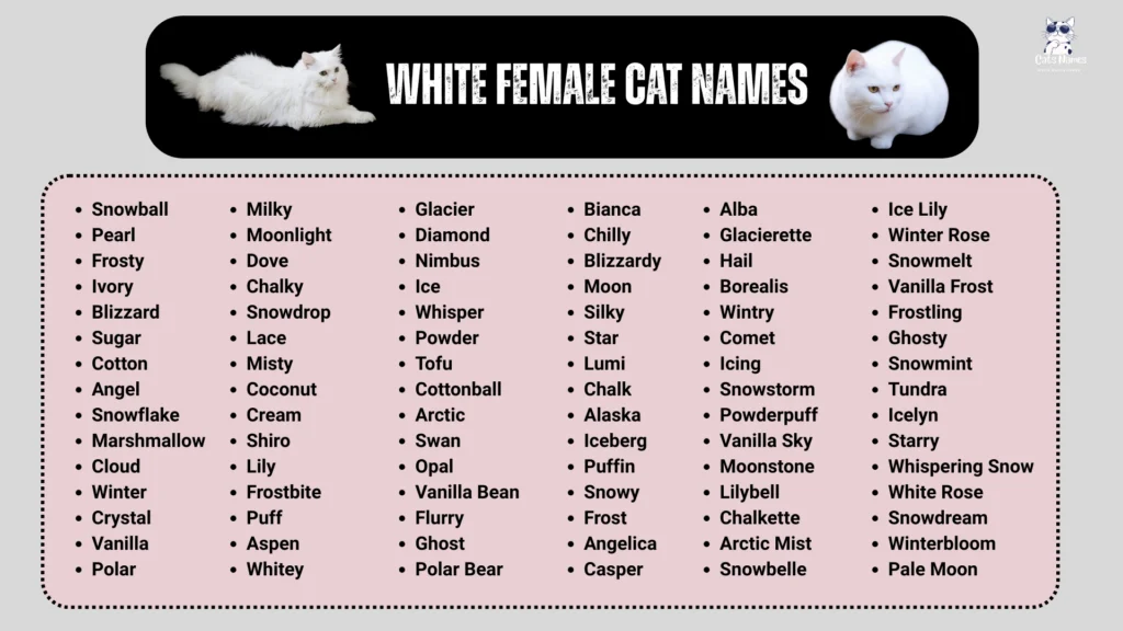 White Female Cat Names