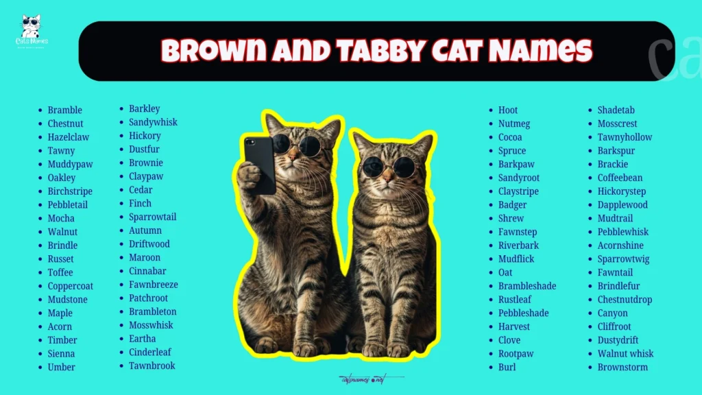 Brown and Tabby Cat Names