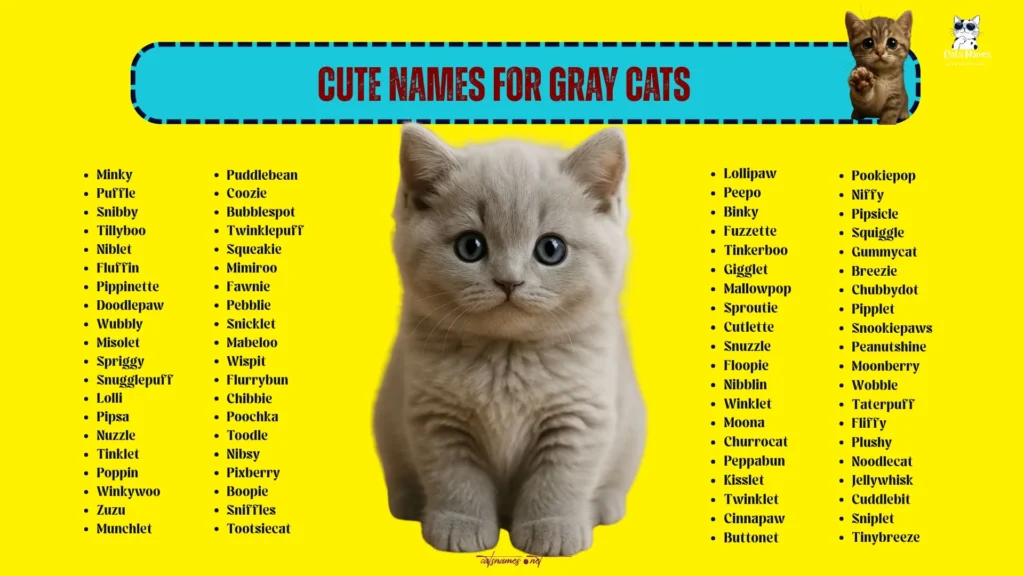 Cute Names for Gray Cats (Pure Adorable Energy)