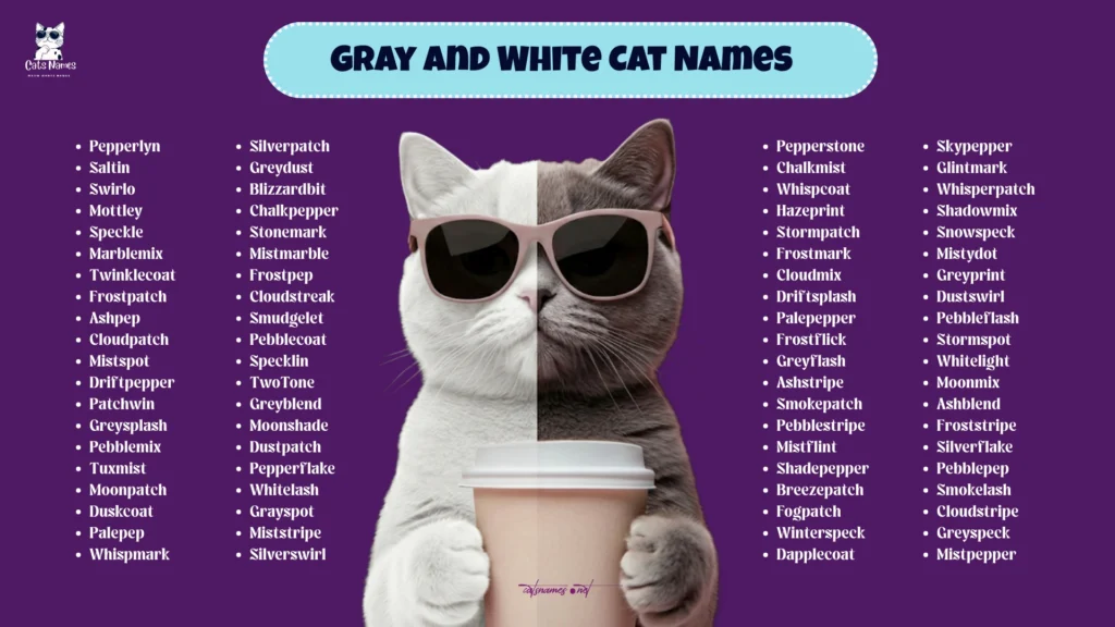 Gray and White Cat Names (That Salt & Pepper Look)