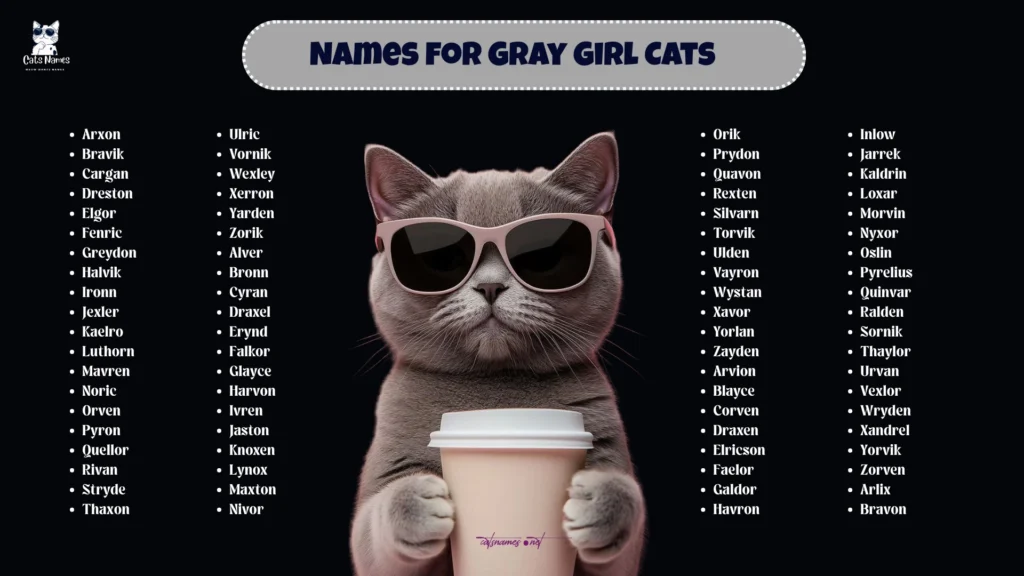 Names for Gray Boys Cats (Handsome & Confident)
