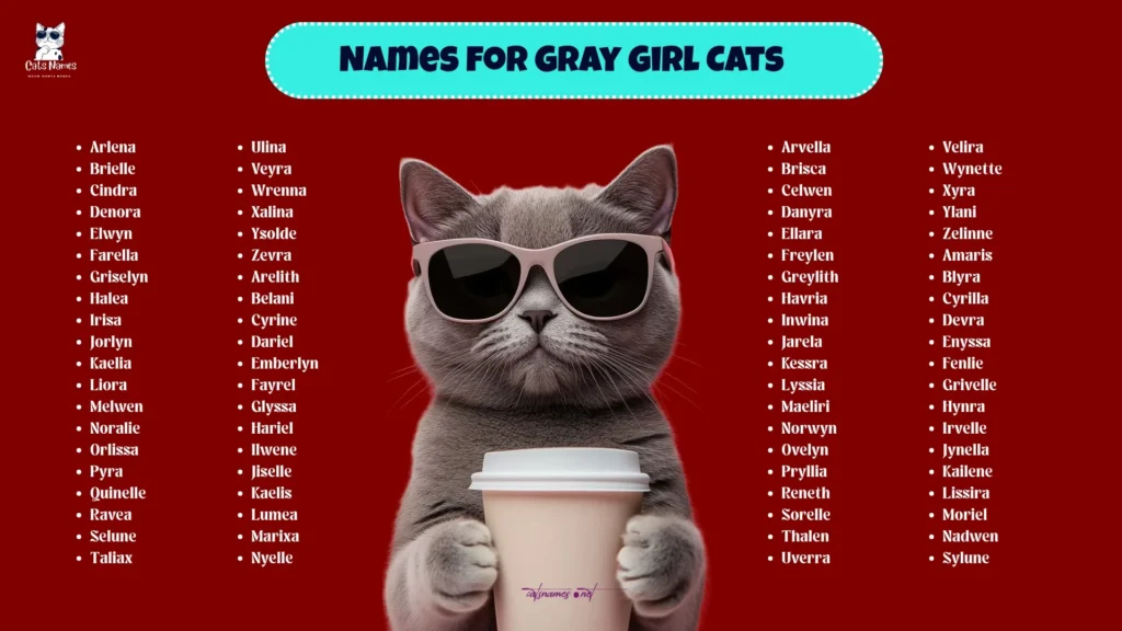 Names for Gray Girl Cats (Sweet Yet Strong)