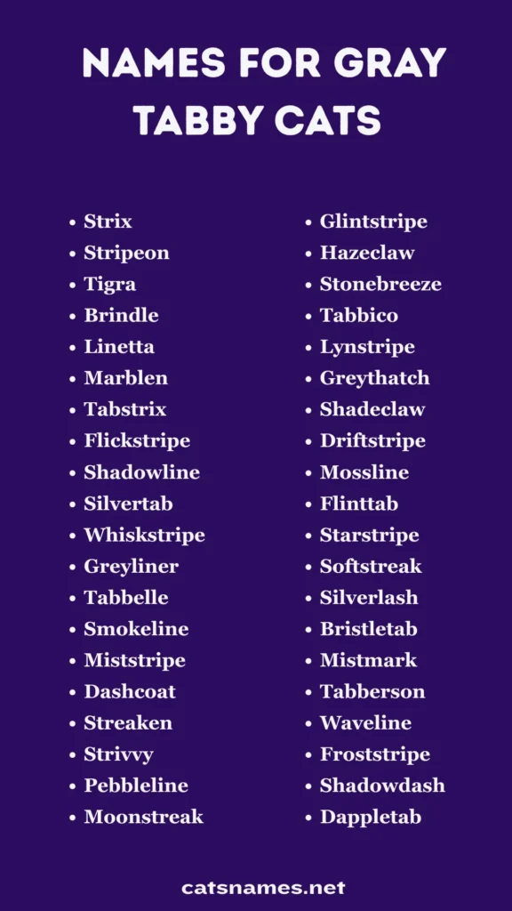Names for Gray Tabby Cats (Those Beautiful Stripes)