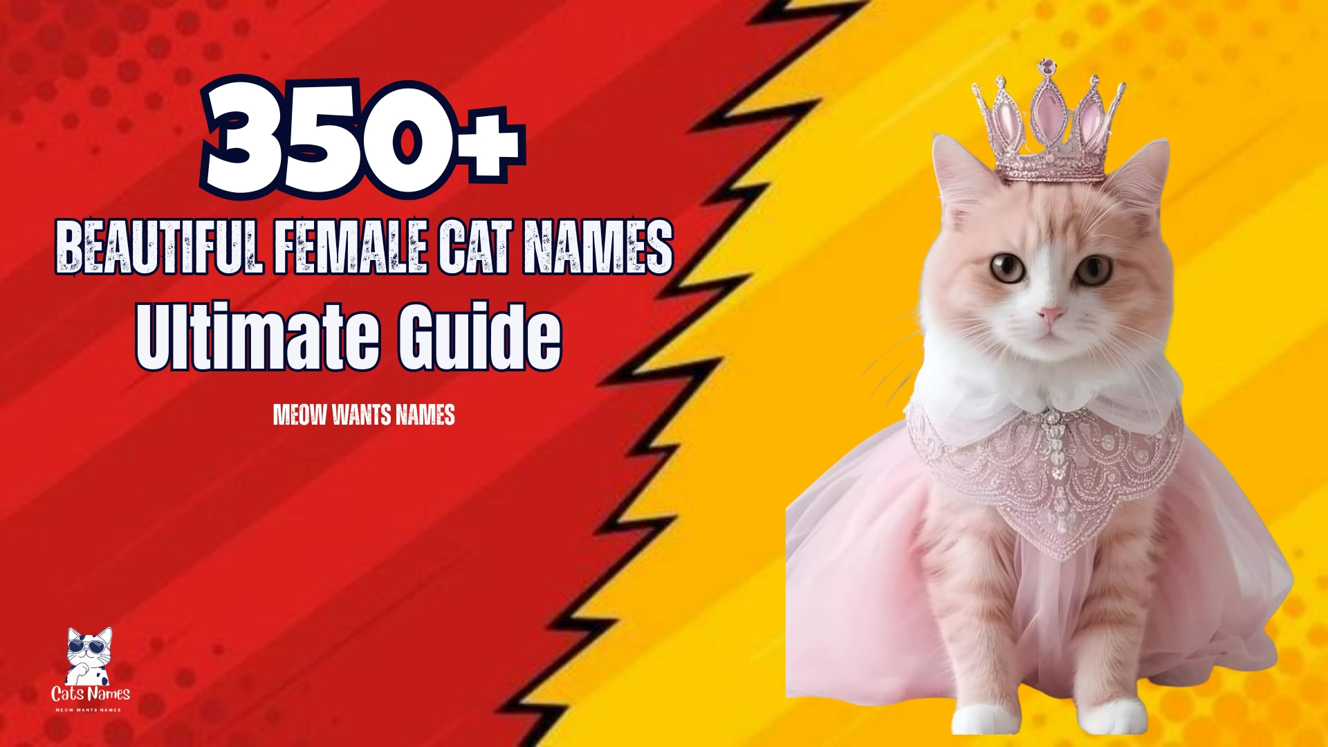 350+ Beautiful Female Cat Names From Cute to Elegant (2025 Ultimate Guide)
