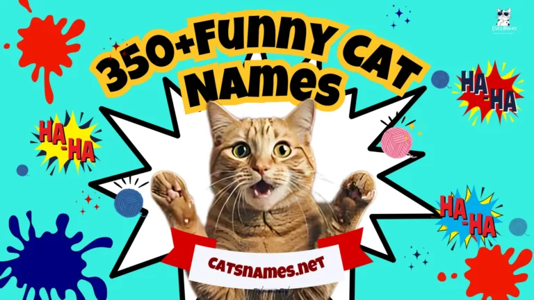 350+ Funny Cat Names That’ll Make You Laugh Out Loud Every Single Day