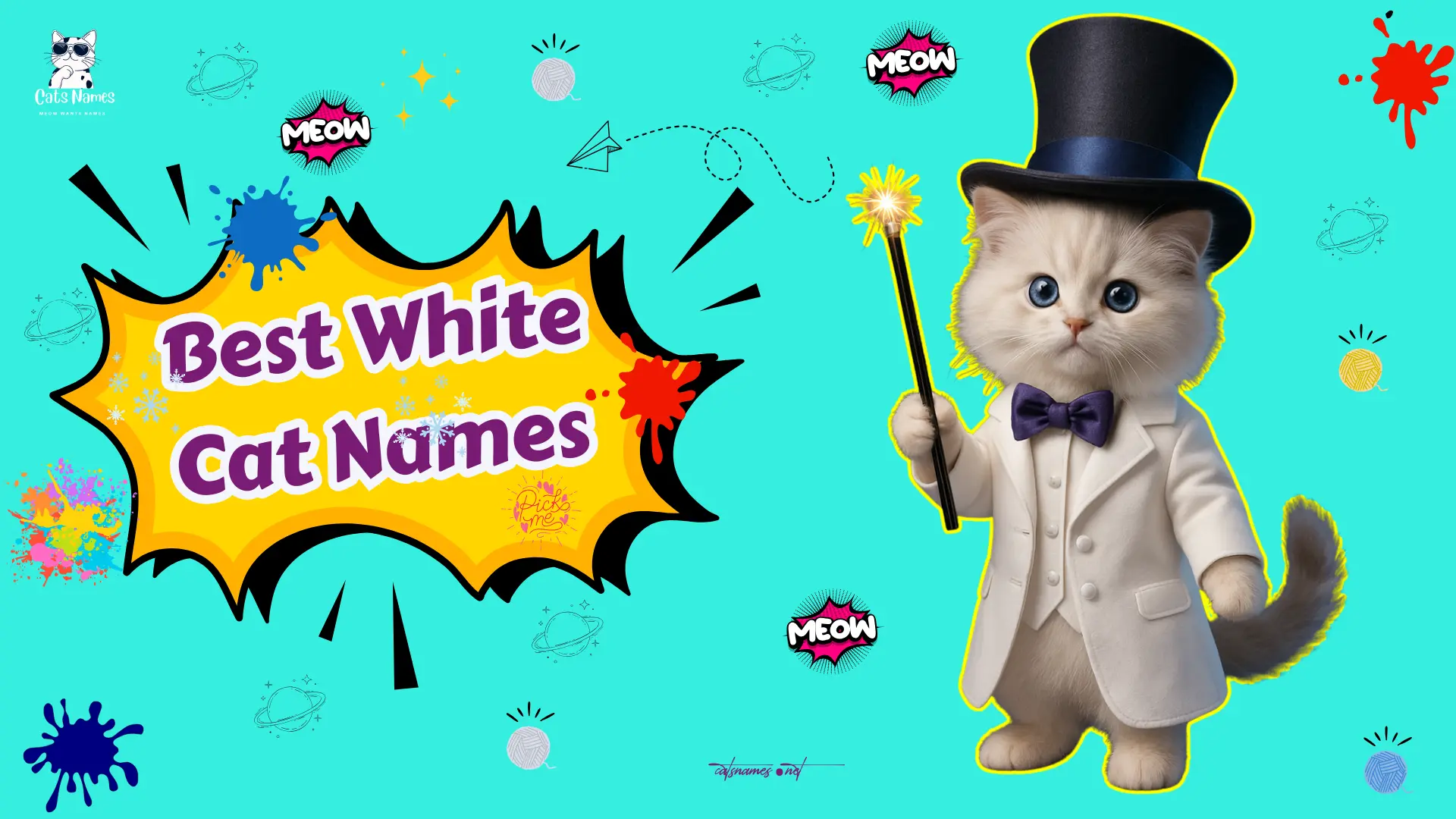 Best White Cat Names That’ll Make Your Heart Melt 300+ Magical Ideas
