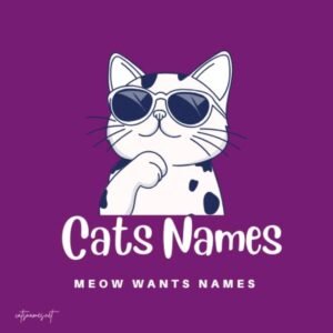 🐱 1000+ Best Cat Names 2025 Cute, Funny & Unique Picks!