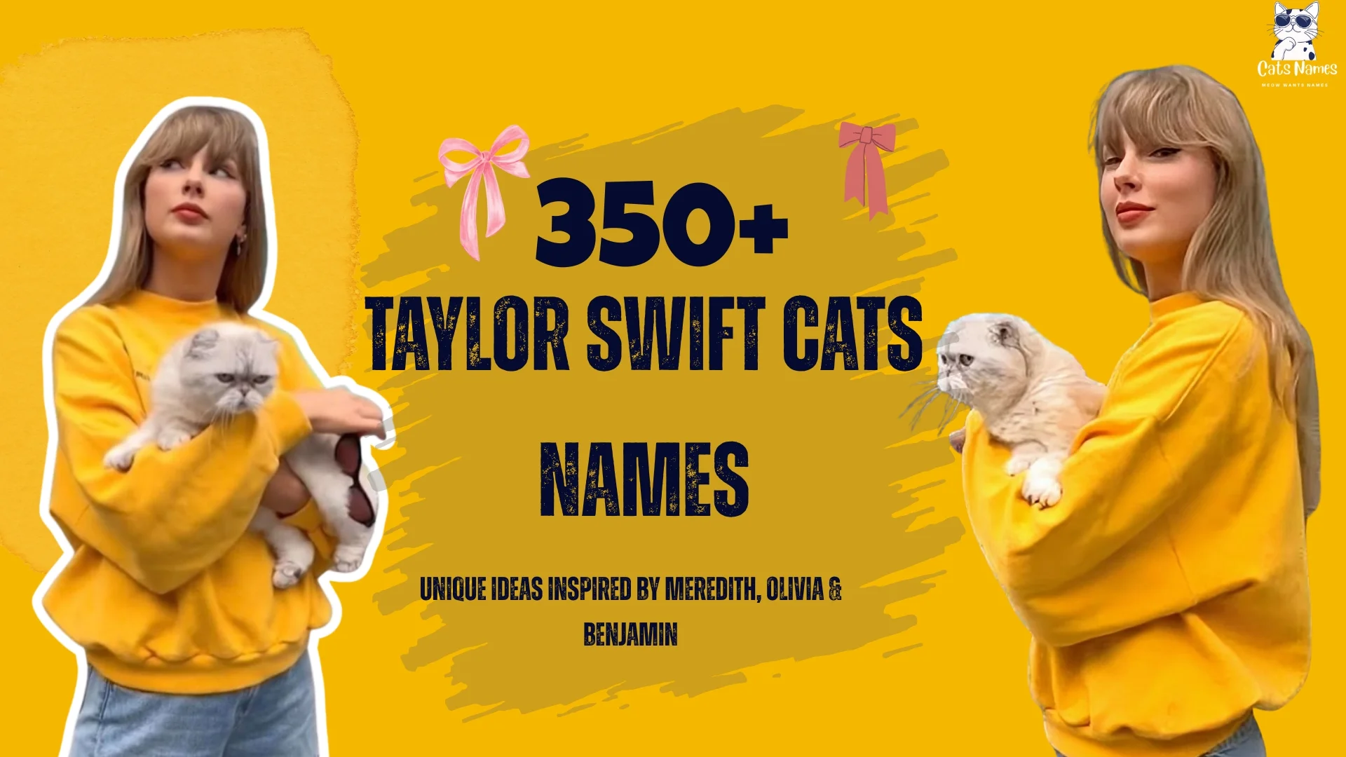 Taylor Swift Cats Names 100+ Ideas Inspired by Meredith, Olivia & Benjamin